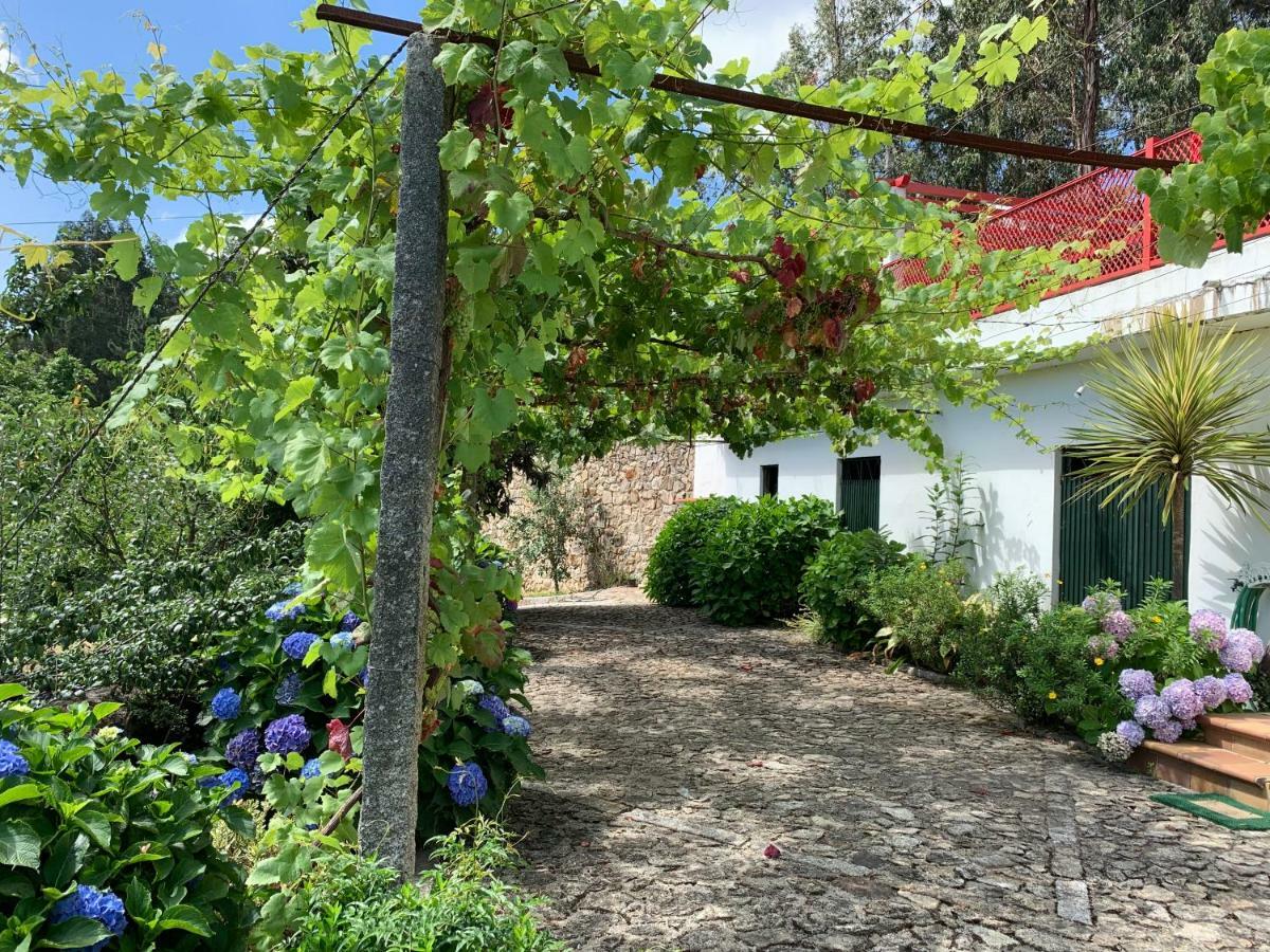 Vila Aurora Parada de Gatim Exteriör bild